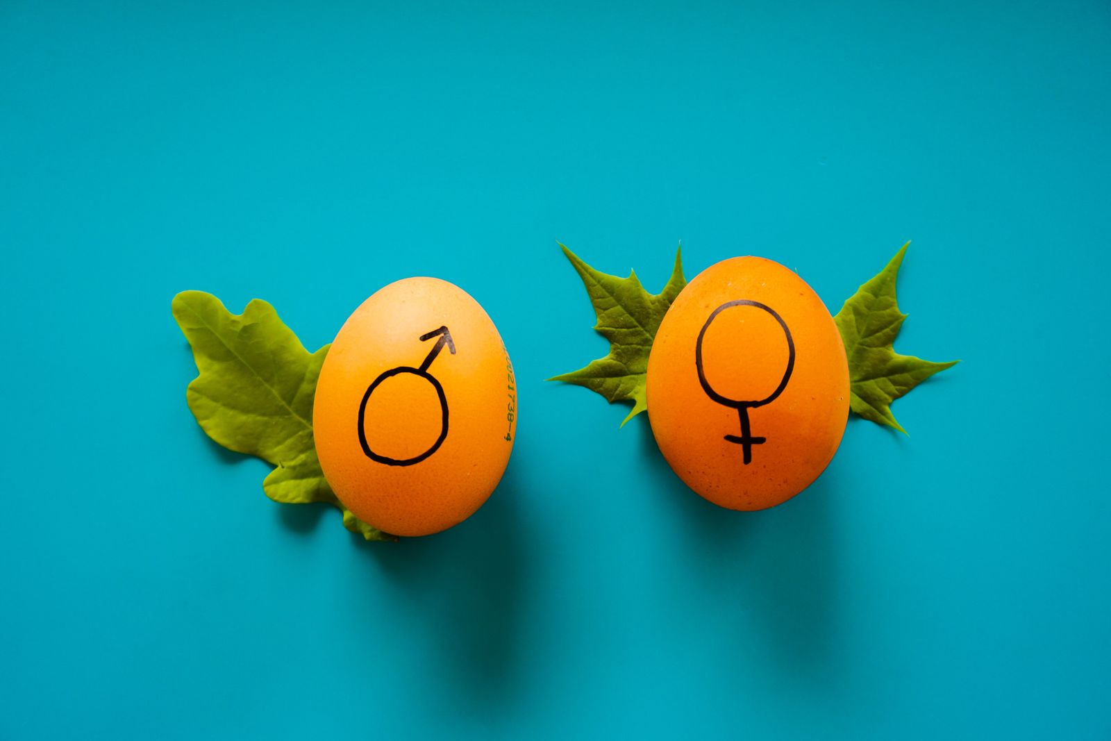 Männer gegen Frauen - Wer hat mehr Orgasmen?